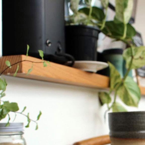 Plants and handmade ceramics on a timber shelf